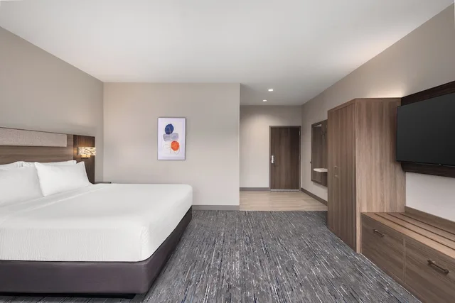 غرفة قياسية بسرير فردي، Holiday Inn Express & Suites BUFORD - MALL OF GEORGIA 1/5