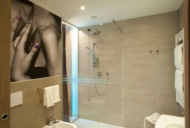 غرفة قياسية بسريرين منفصلين، Hotel Camelia 4/4