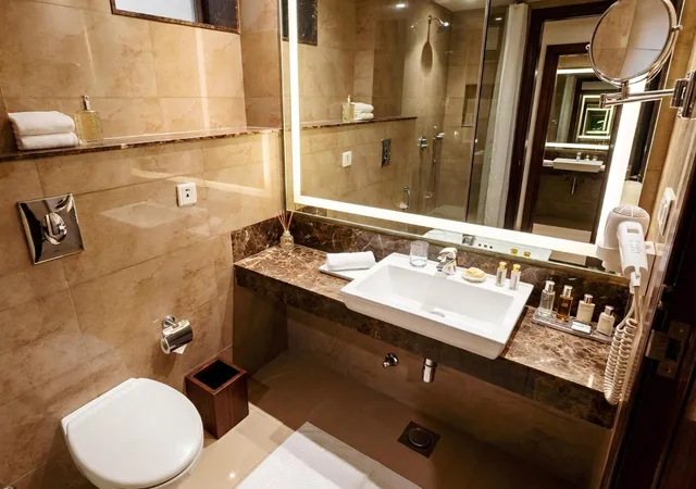 غرفة كلوب، Shervani Nehru Palace Hotel 9/10