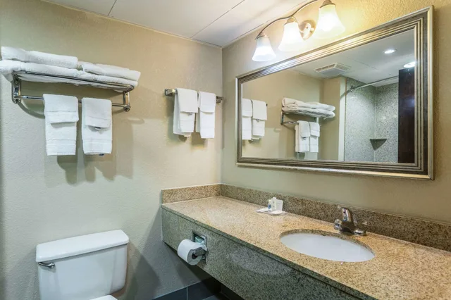 غرفة بسرير كينج لذوي الإعاقة، Comfort Inn Decatur Priceville 3/3