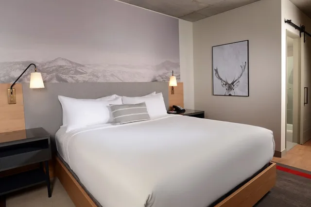 غرفة قياسية بسرير كينج لذوي الإعاقة، Hotel Indigo Denver Downtown - Union Station, an IHG Hotel 3/7
