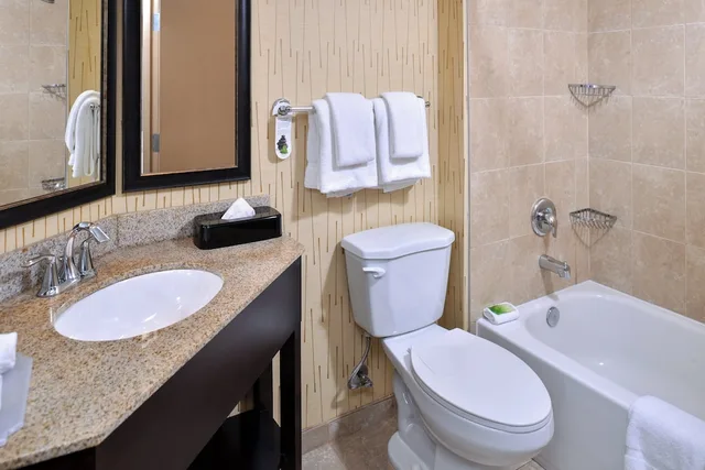 غرفة قياسية بسرير كينج، Holiday Inn Express Hunt Valley 4/4