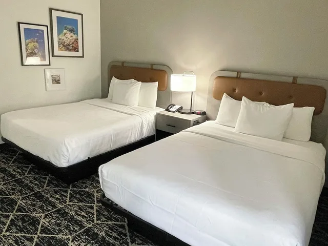غرفة بسريرين مزدوجين لغير المدخنين، La Quinta Inn & Suites by Wyndham Houston Bush IAH South 1/10