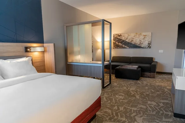 Extended, Suite, King Bed, Trundle Bed, SpringHill Suites by Marriott Overland Park Leawood 1/8