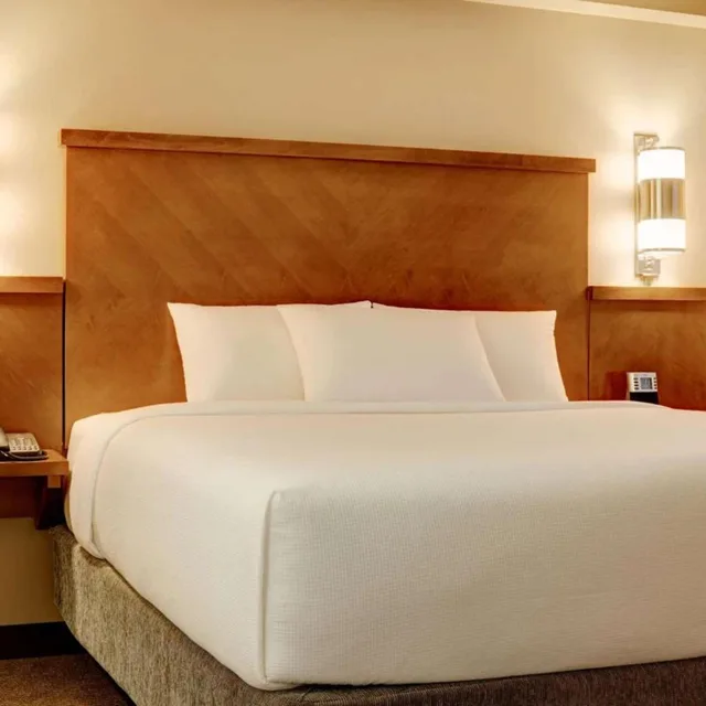 غرفة بسرير كينج مع أريكة، Sonesta Select Atlanta Duluth 11/14