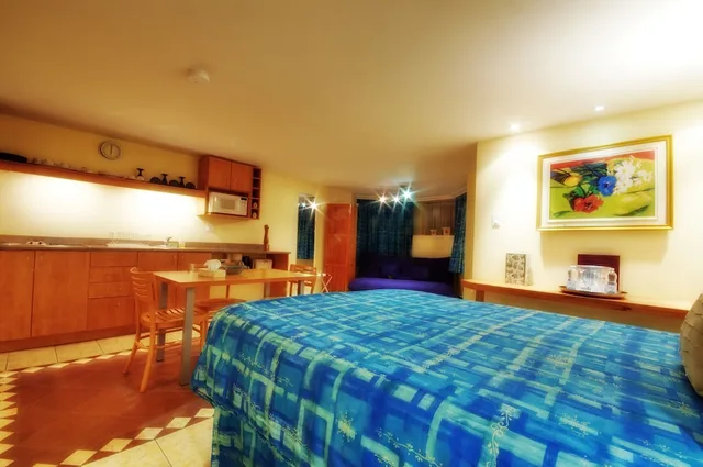 1 Bedroom, Studio, Futon Bed, Queen Bed, Manoir Sherbrooke 1/2