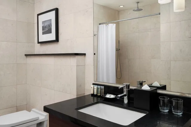 غرفة قياسية بسرير كينج بحوض استحمام لذوي الإعاقة، Millennium Hotel Knickerbocker Chicago 4/8