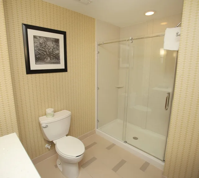 Standard, King Bed, Extra Floor Space، Holiday Inn Express Suites Southport Oak Island Area 4/4