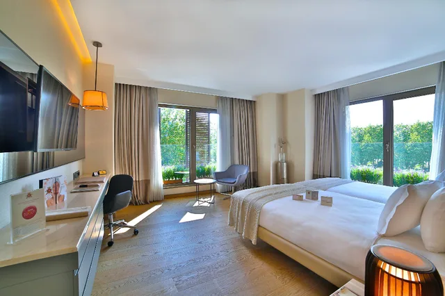 Executive, Dosso Dossi Hotels and SPA Downtown 1/2