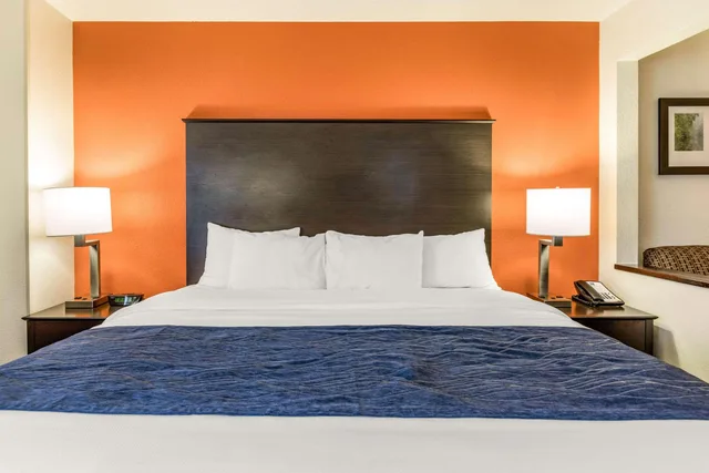 Suite, King Bed, Comfort Inn Wings Stadium 4/4