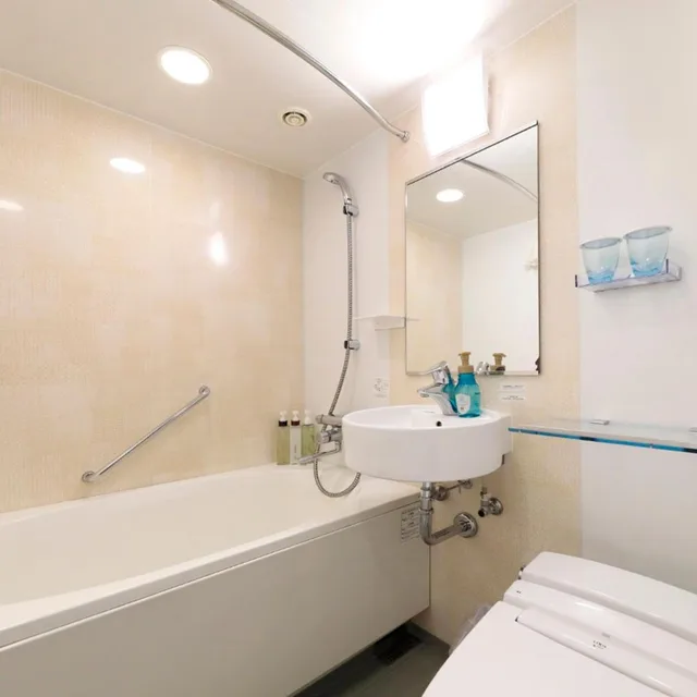 Superior, Double Bed, Keisei Richmond Hotel Tokyo Monzennakacho 8/8