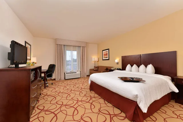 جناح استوديو بسرير كينج مع أريكة، Hampton Inn Houston Deer Park Ship Area 2/5