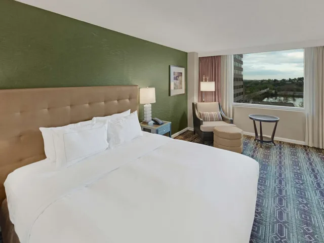 غرفة بسرير كينج بإطلالة على المدينة لذوي الإعاقة، Hilton Harrisburg 1/5