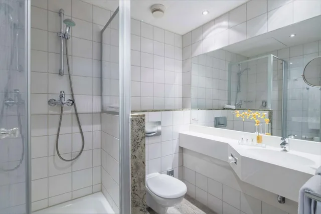 غرفة كبيرة بسرير مزدوج، Best Western Plus Hotel Excelsior 9/9