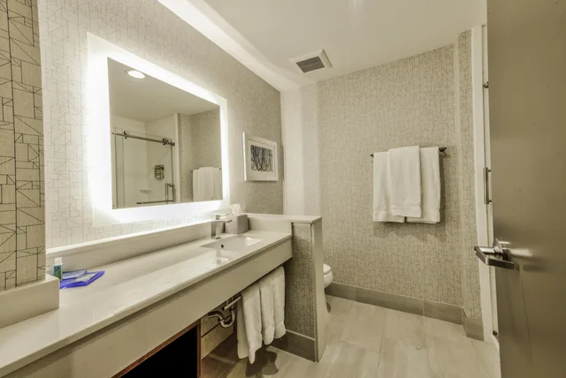 غرفة قياسية بسرير كينج يُسمح فيها بالحيوانات الأليفة، Holiday Inn Express Suites Farmers Branch 7/10
