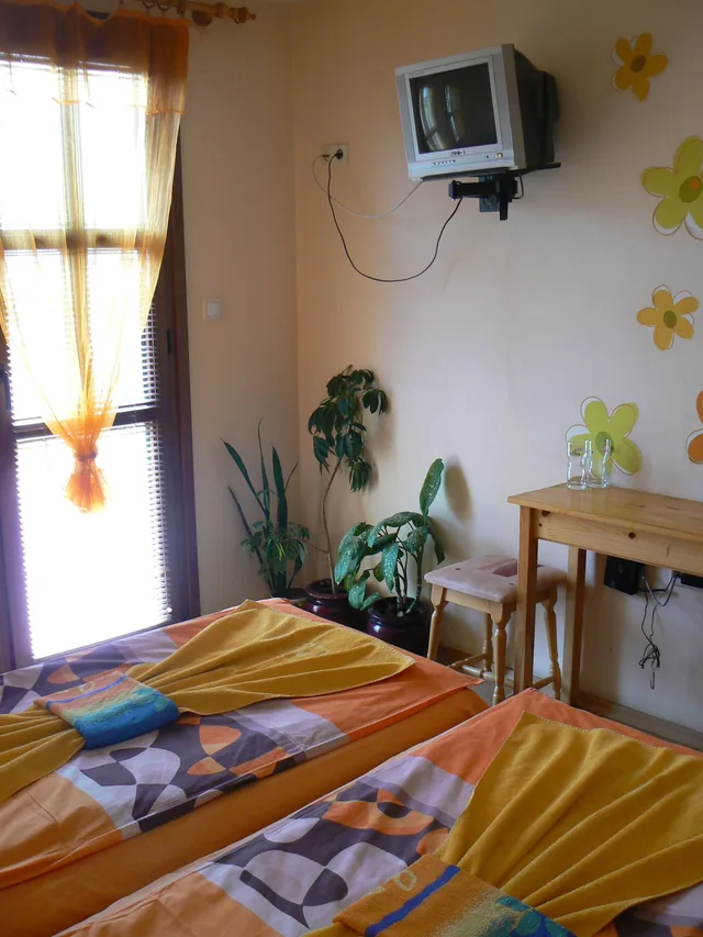 غرفة أساسية بسرير مزدوج، Hotel Varusha 4/5