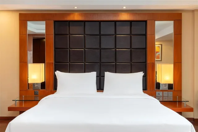 جناح جونيور، Radisson Blu Plaza Hotel Delhi Airport 2/5