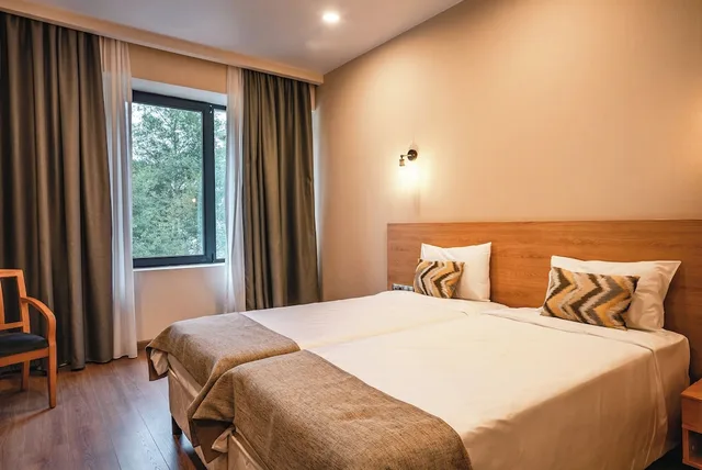 غرفة بسريرين منفصلين لذوي الإعاقة، Bakuriani Inn 4/6