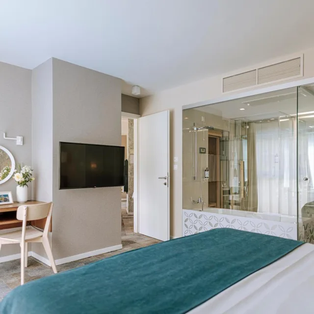 جناح ديلوكس بشرفة، SPA AND SPORT RESORT SVETI MARTIN 8/9