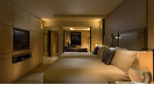 جناح، Hilton Beijing Wangfujing 1/1