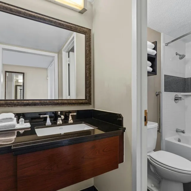 جناح استوديو بسرير كوين مع أريكة، Peachtree Hotel Midtown Atlanta 2/3