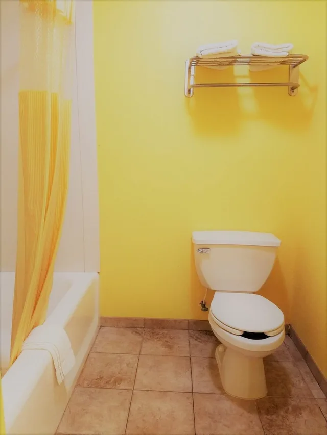 غرفة بسرير كينج، Roadway Inn Troy 3/3
