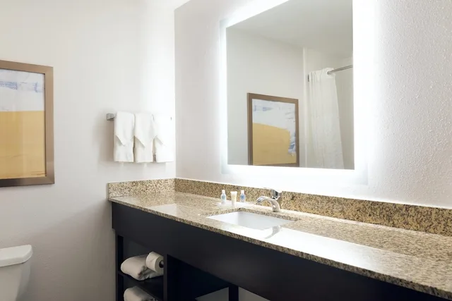 جناح رئاسي بسريرين كينج بغرفة نوم واحدة، COMFORT SUITES MILWAUKEE AIRPORT 9/10