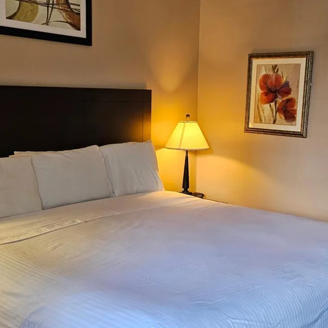 غرفة بسرير كوين لذوي الإعاقة، Bellis Inn Bellingham (ex Rodeway Inn) 4/7