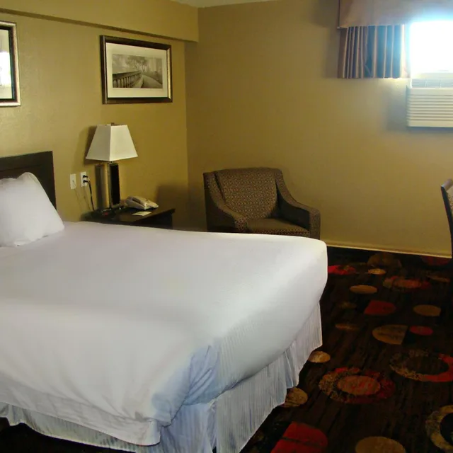 غرفة ديلوكس مفردة، Stonebridge Hotel 6/20