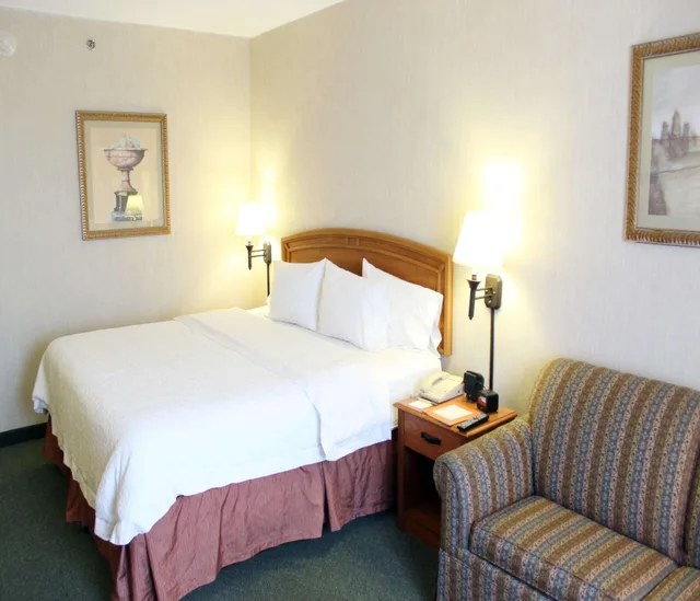 Studio, King Bed, Hampton Inn By Hilton Saltillo 2/3
