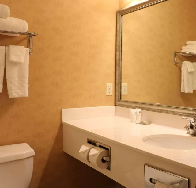 Studio, Suite, King Bed, Sofa, Country Inn & Suites by Radisson Lincoln North Hotel and Conference Center NE 4/4