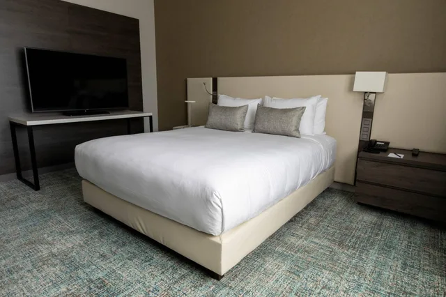 غرفة قياسية بسرير مزدوج، Residence Inn Toulouse Blagnac 1/4