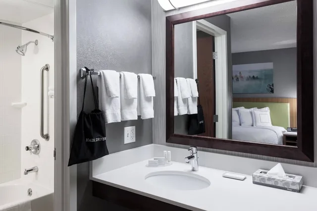 جناح بسرير كينج بغرفة نوم واحدة مع أريكة لذوي الإعاقة، Springhill Suites Boise Parkcenter 3/3