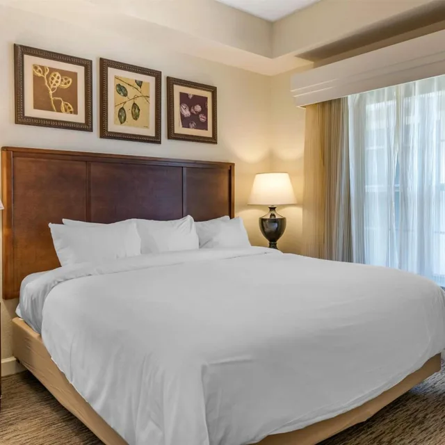 1 Bedroom, Plus, Suite, Sofa، Hilton Vacation Club St. Augustine 2/5