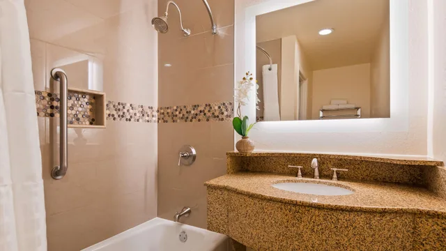 Business, King Bed, Best Western Plus Ontario Airport & Convention Center 12/14