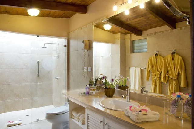 غرفة قياسية بسرير كوين، LA MIRAGE GARDEN HOTEL & SPA 1/1
