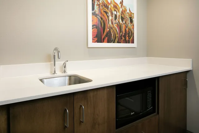استوديو بسرير كينج مع أريكة بمطبخ صغير، Hampton Inn and Suites Minooka 5/5