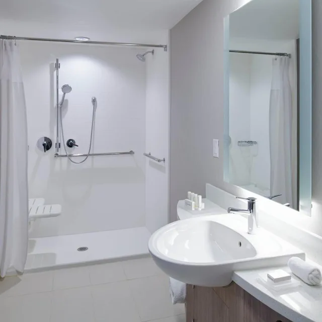 جناح بسرير كوين بإطلالة على المدينة لذوي الإعاقة، Springhill Suites Detroit Wixom 7/10