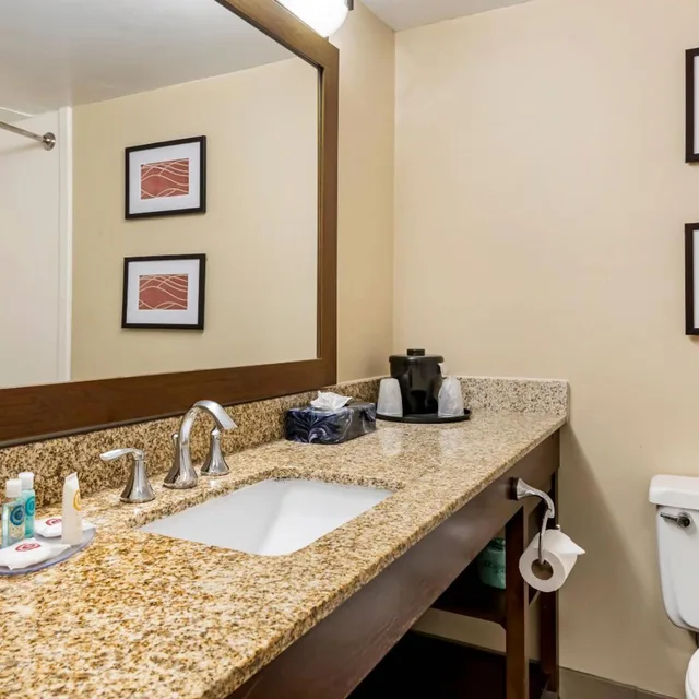 غرفة سوبيريور بسرير كينج، Comfort Inn MSP Airport - Mall Of America 4/4