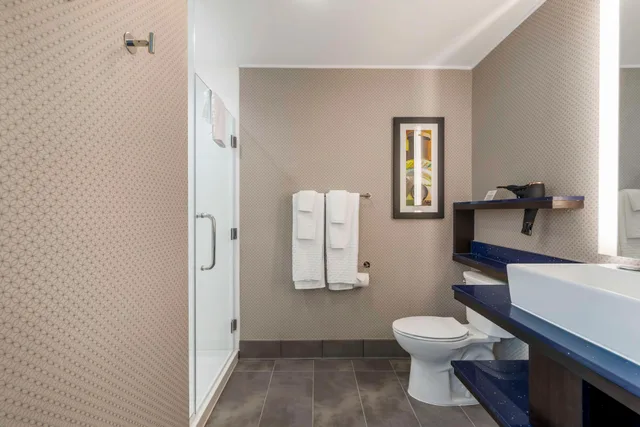غرفة سيغنتشر مفردة بسرير كينج، GLo Best Western Pooler Savannah Airport Hotel 4/4