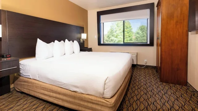 جناح بغرفة نوم واحدة، Grand Canyon Hotel and Suites 1/4