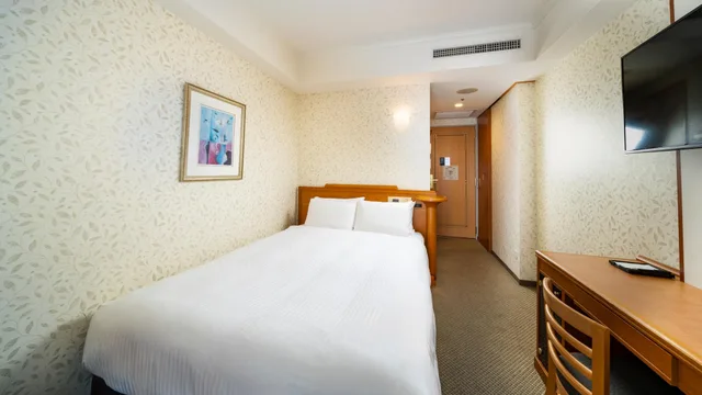 Select, Standard, Single, with View، KOKO HOTEL Osaka Shinsaibashi 1/2
