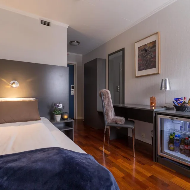 غرفة مفردة، Enter Viking Apartment 6/8