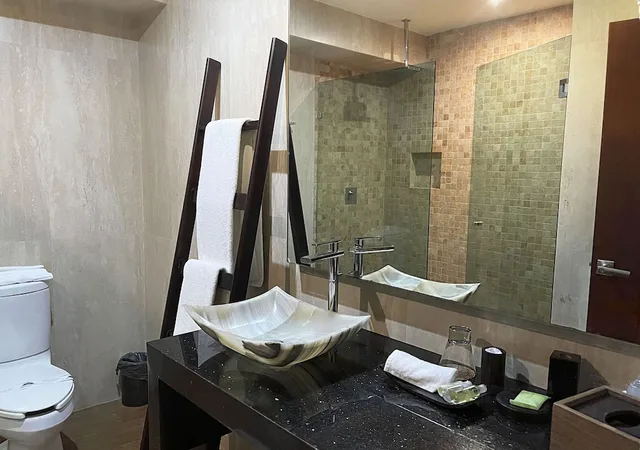 جناح استوديو ديلوكس بسرير كينج، Hotel Victoria Poza Rica 3/6