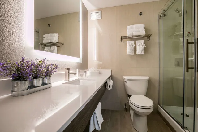 غرفة قياسية بسرير كينج، Best Western Plus Sparks-Reno Hotel 8/10