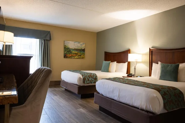 جناح بسرير كوين، D. Hotel and Suites 2/4
