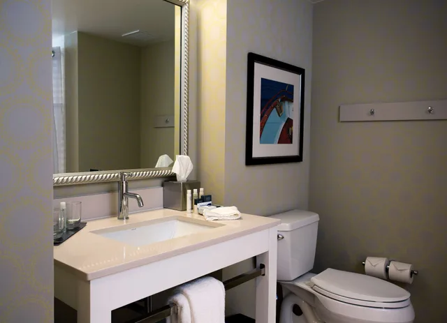 غرفة بسرير كينج بإطلالة على المدينة لذوي الإعاقة، Doubletree By Hilton Hotel Biloxi 5/5