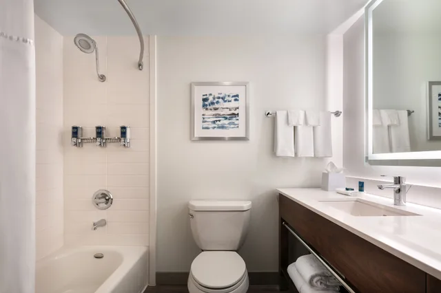 Standard, King Bed, Four Points By Sheraton Hotel Suites San Francisco Airport 1/3