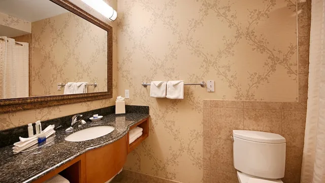 غرفة قياسية بسريرين كينج بإطلالة على الجبل، Best Western Plus Silver Saddle Inn 5/7