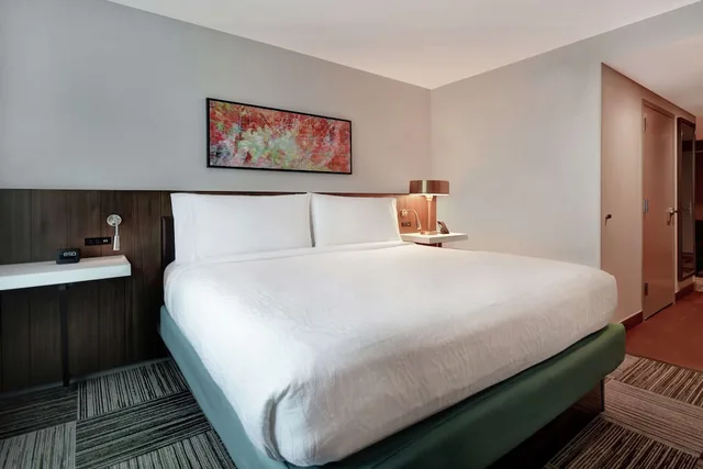 جناح بسرير كينج، Hilton Garden Inn Houston/Galleria Area 2/2